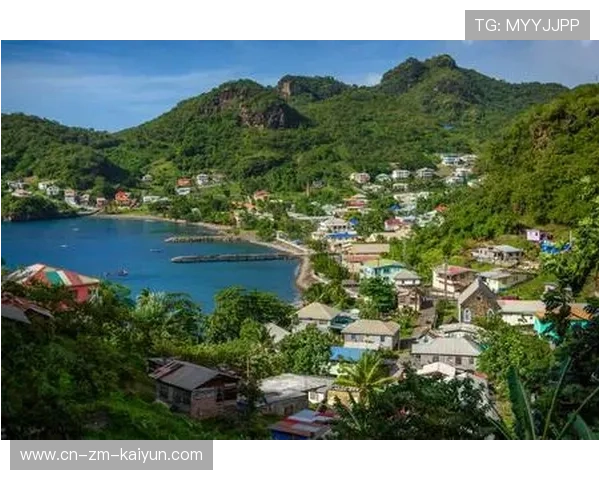 格林纳达棒球运动快速发展，格林纳达棒球运动快速发展的标志是